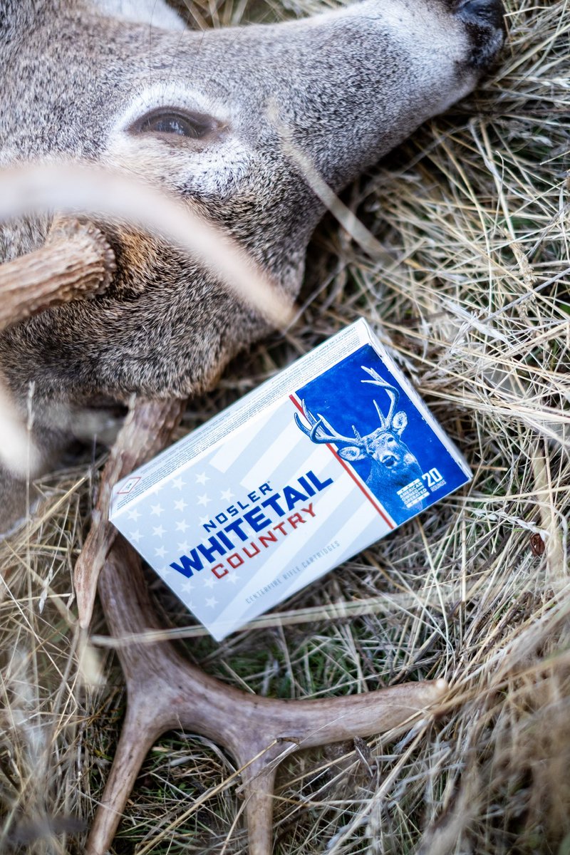Dangersoup's tweet photo. Have you seen the newest announcement from @NoslerInc yet? Nosler Whitetail Country ammo with an MSRP of $34.95 for many standard cartridges. We used them on a hunt with Jody Smith Guide Service and @LeupoldOptics and they worked flawlessly. #nosler #whitetail https://t.co/mOyIjTG3Kq