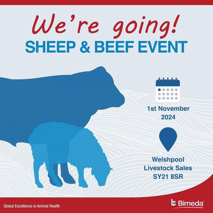 🐑🐄📢 Join myself and Connor Smith on the 1st of November 2024 at Welshpool Livestock Market for the Wynnstay Group PLC  Sheep &amp; Beef Event, 10am - 4pm

We’re looking forward to welcoming lots of you on the Bimeda stand! 

#bimeda #beef #sheep #event #show  #customerfocus