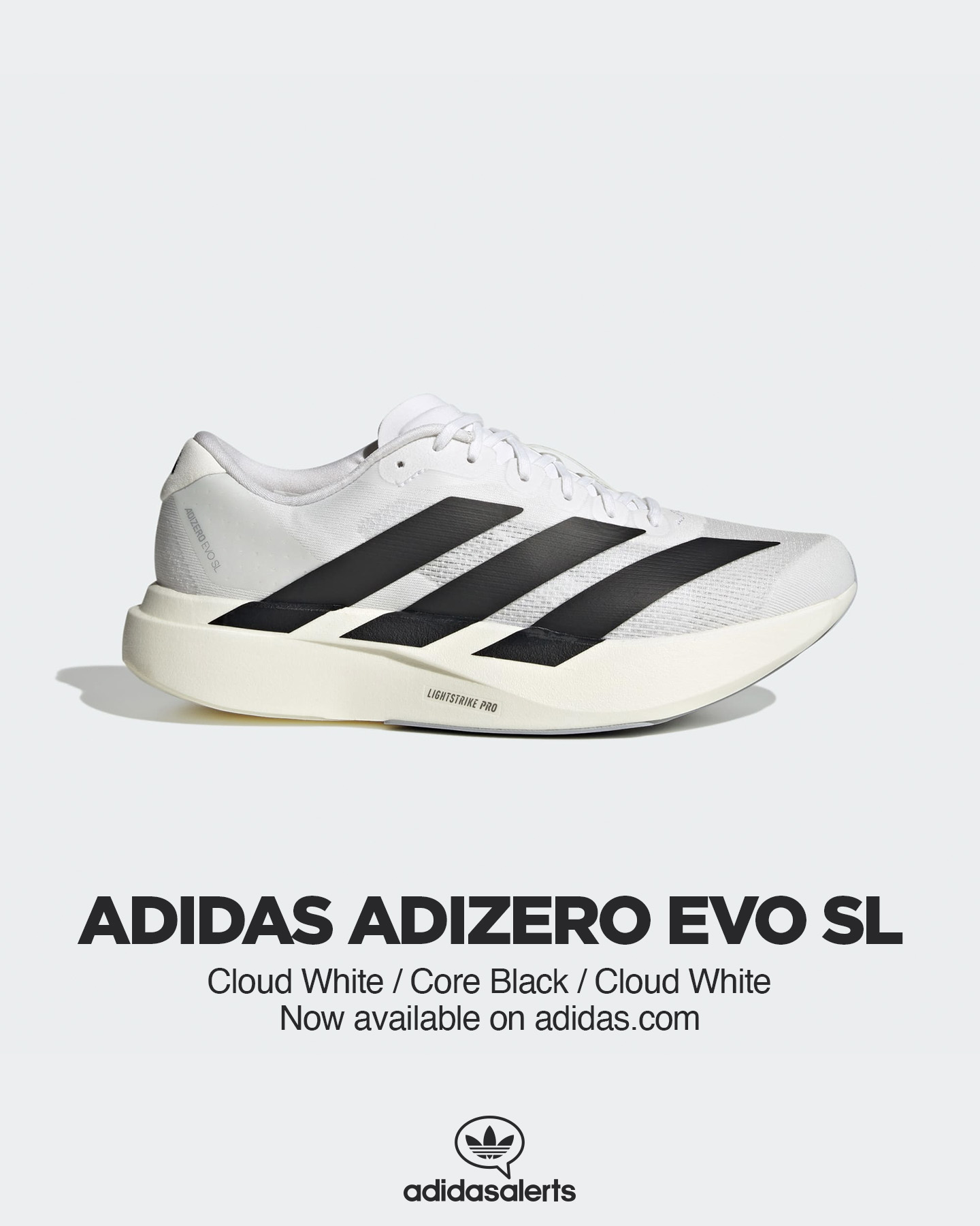 EBS evolusion PROLINE 210 値下げ EBS evolusion PROLINE 210 値下げ 電動直線移動ステージ(リニア