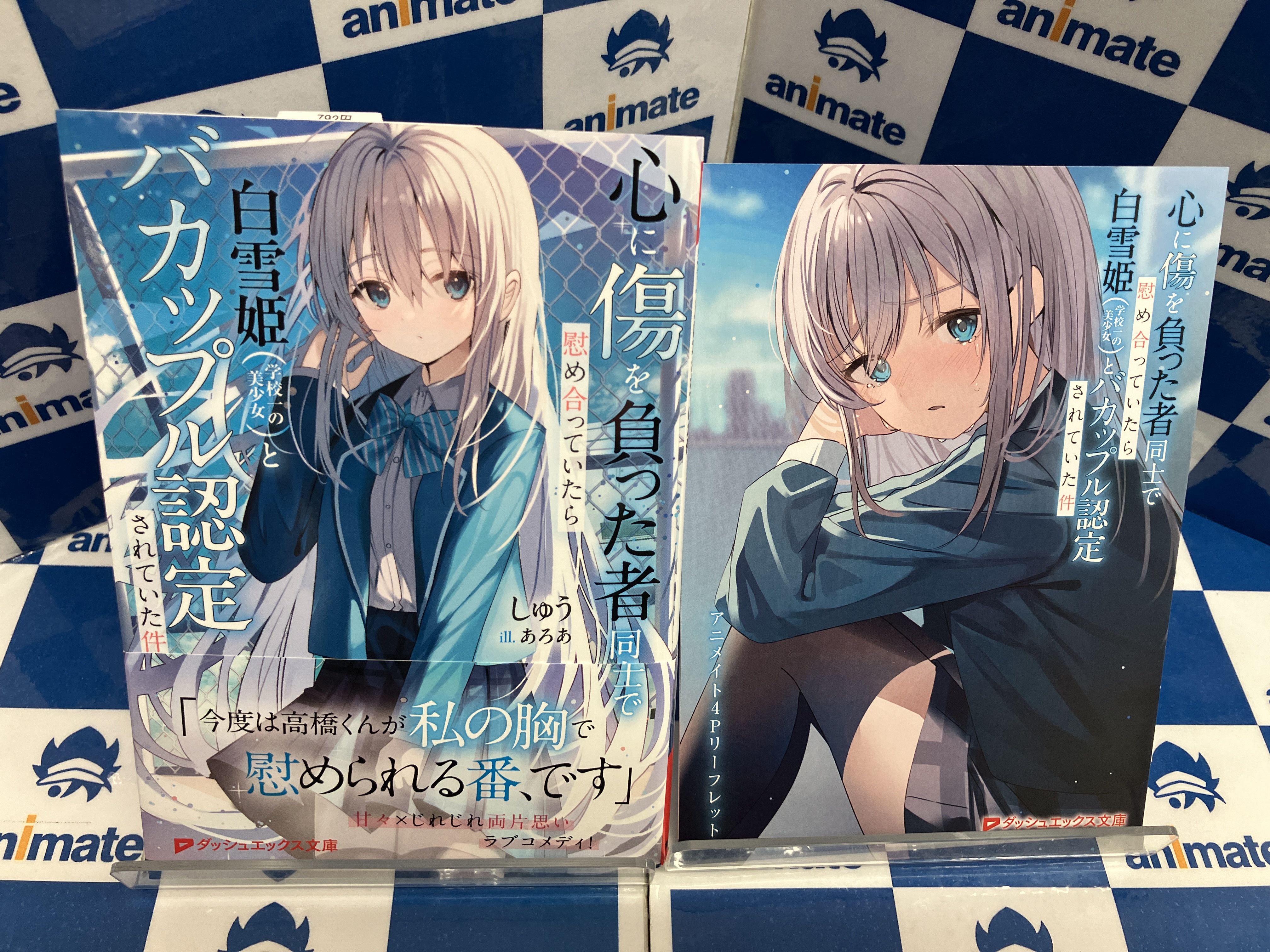 アニメイト蒲田 в X: „⭐️心に傷を負った者同士で慰め合ってい