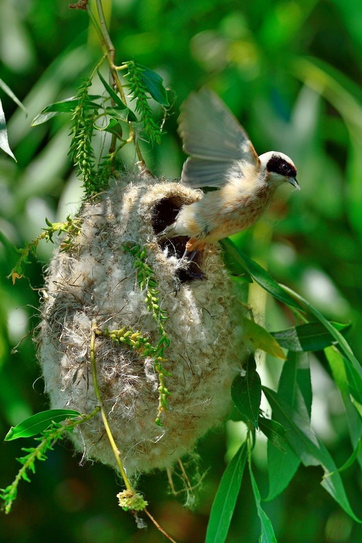 #earth
sei immer sicher