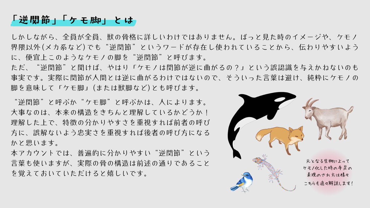 けもプラ【公式】 on X