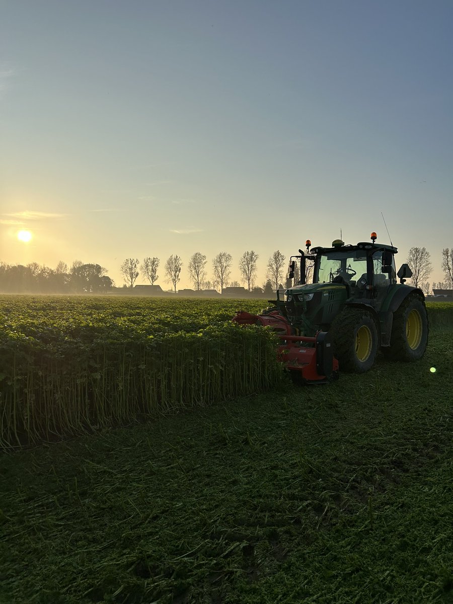 arnoldveld078's tweet photo. De groenbemester weer een kopje kleiner tikken, heeft z’n werk weer gedaan. https://t.co/0OWlWEcqtr