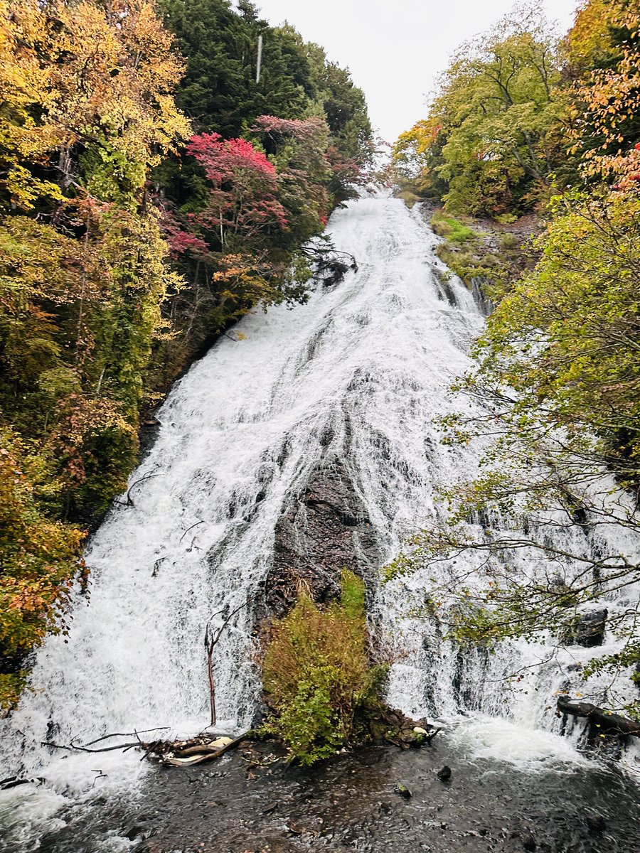紅葉見に行こうよう🍁
#日光市
#奥日光三名爆