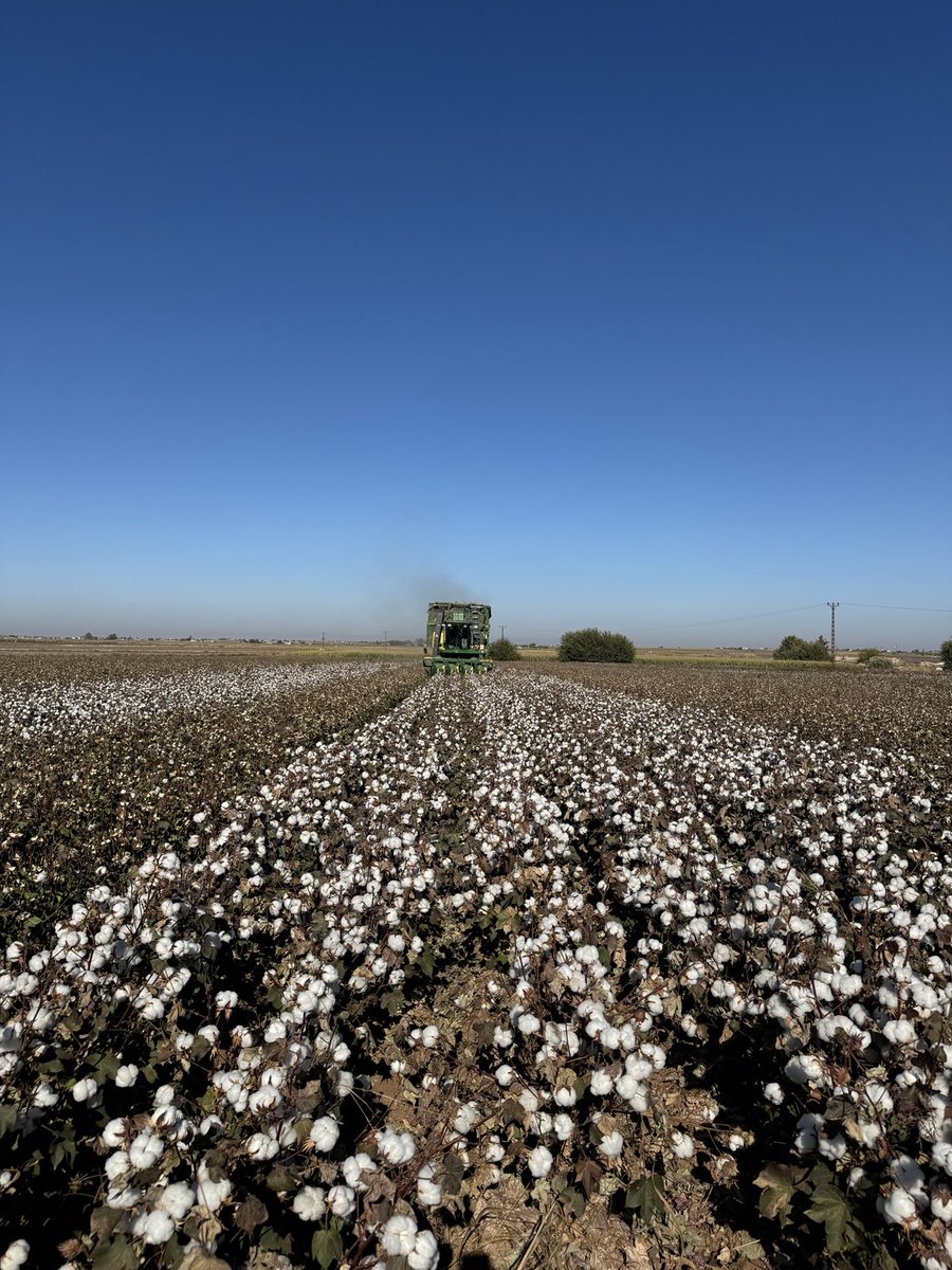 ⁦<a href="/fatihpakdamar/">fatih pakdamar</a>⁩ Harran hasat