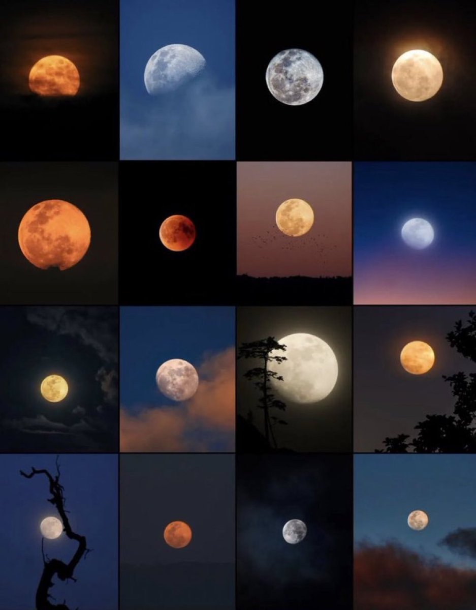 M1ONLOVER's tweet photo. Moon lover. https://t.co/fcAGg9OfEm