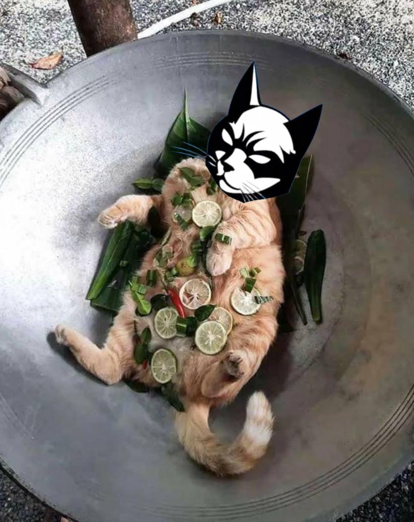 BatCat tweet media