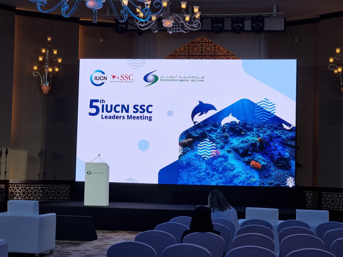 Isabel Fernandes🇺🇦 (@isabelrf84) on Twitter photo It is starting! 🤗
Exciting days ahead advocating for #aquaticfungi 🍄💧 and learning from the best how to work towards their #conservation.
<a href="/IUCNAquaFungi/">IUCN SSC Aquatic Fungi Specialist Group</a> <a href="/FUNACTION_EU/">FUNACTION</a> <a href="/MoSTFun_EU/">MoSTFun</a> <a href="/IUCNssc/">IUCN Species Survival Commission</a>
#WeAreSSC #SSCLeadersMeeting2024 It is starting! 🤗
Exciting days ahead advocating for #aquaticfungi 🍄💧 and learning from the best how to work towards their #conservation.
<a href="/IUCNAquaFungi/">IUCN SSC Aquatic Fungi Specialist Group</a> <a href="/FUNACTION_EU/">FUNACTION</a> <a href="/MoSTFun_EU/">MoSTFun</a> <a href="/IUCNssc/">IUCN Species Survival Commission</a>
#WeAreSSC #SSCLeadersMeeting2024