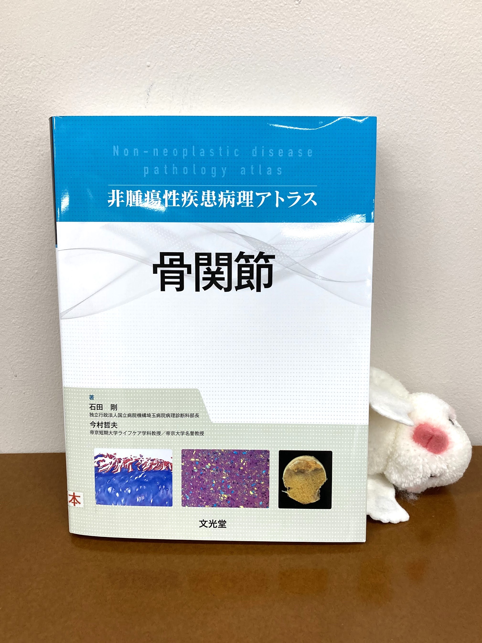 非腫瘍性疾患病理アトラス 骨関節 裁断済み