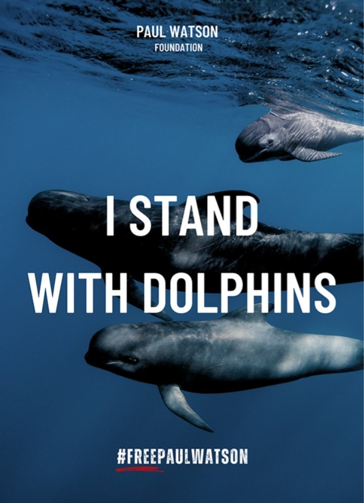 janischshane's tweet photo. #Freepaulwatson
#Denmark
I stand with dolphins
#captainPaulWatson saved many whales and dolphins. 
#Denmark #nuuk his the man that made our ocean better for you and me. Be on the right side of history, whale saving history. #Freepaulwatson justice delayed, justice denied https://t.co/EvGv0PJyPM