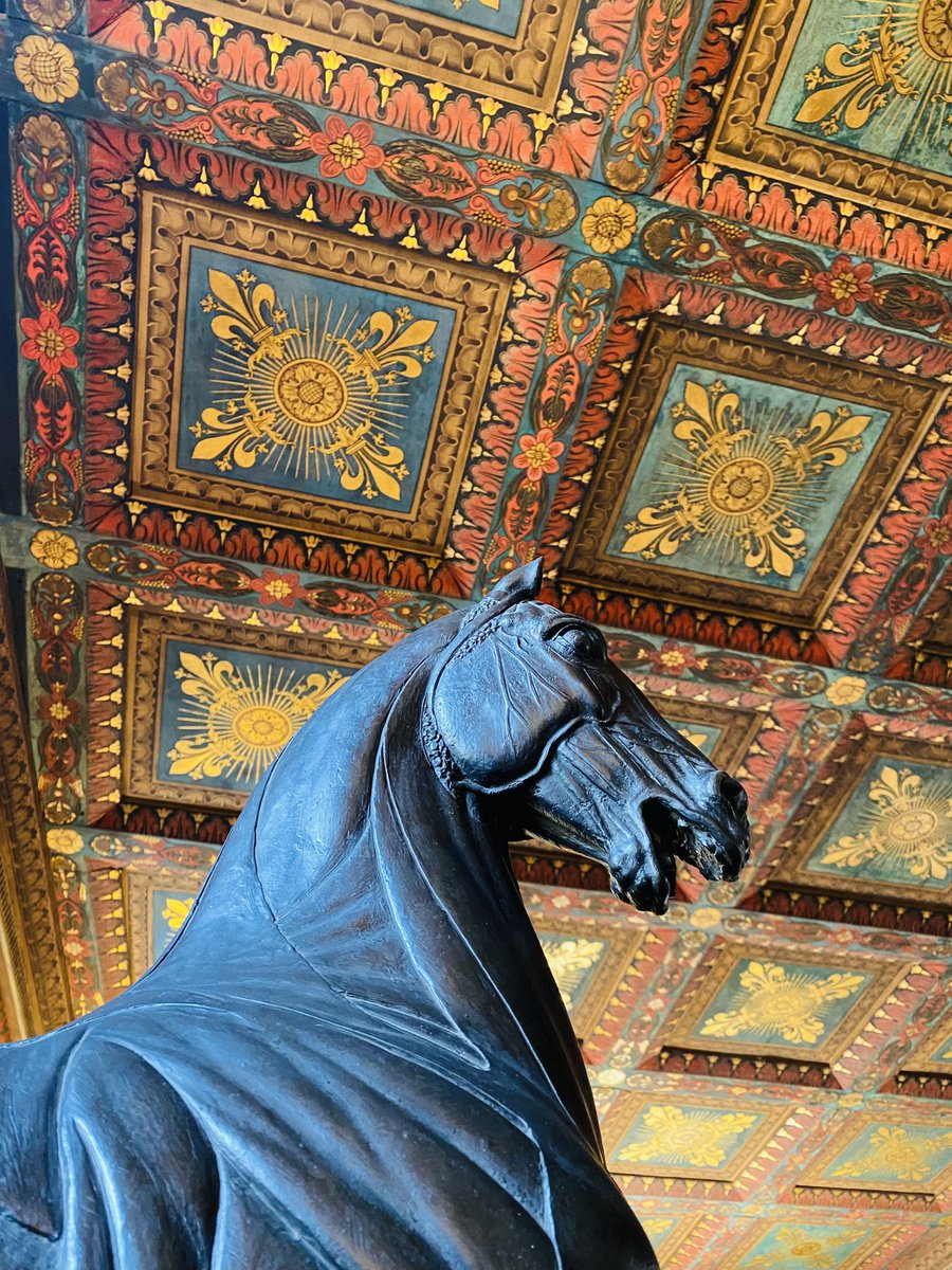 Tash Kindred tweet media