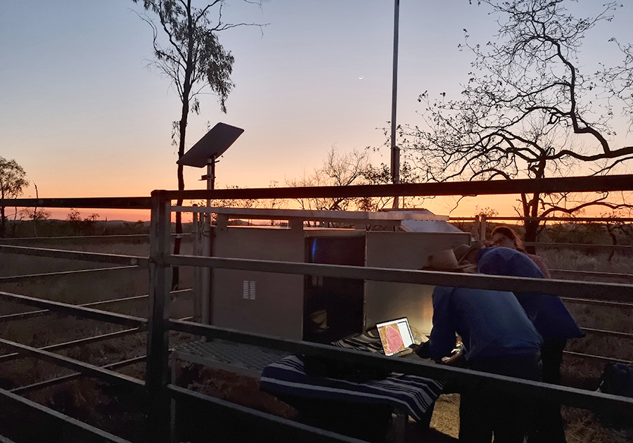 NQ Dry Tropics tweet media