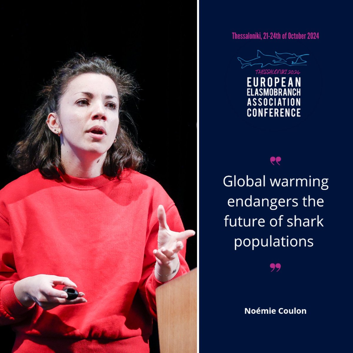 This week, @IseaOrg hosted the #EEA2024 in Thessaloniki, gathering experts to discuss the future of elasmobranchs. I presented my research on the impact of global warming on shark populations: a 4°C rise is a big challenge. Grateful to <a href="/TheFSBI/">fsbi</a> and <a href="/saveourseas/">Save Our Seas</a> for funding!