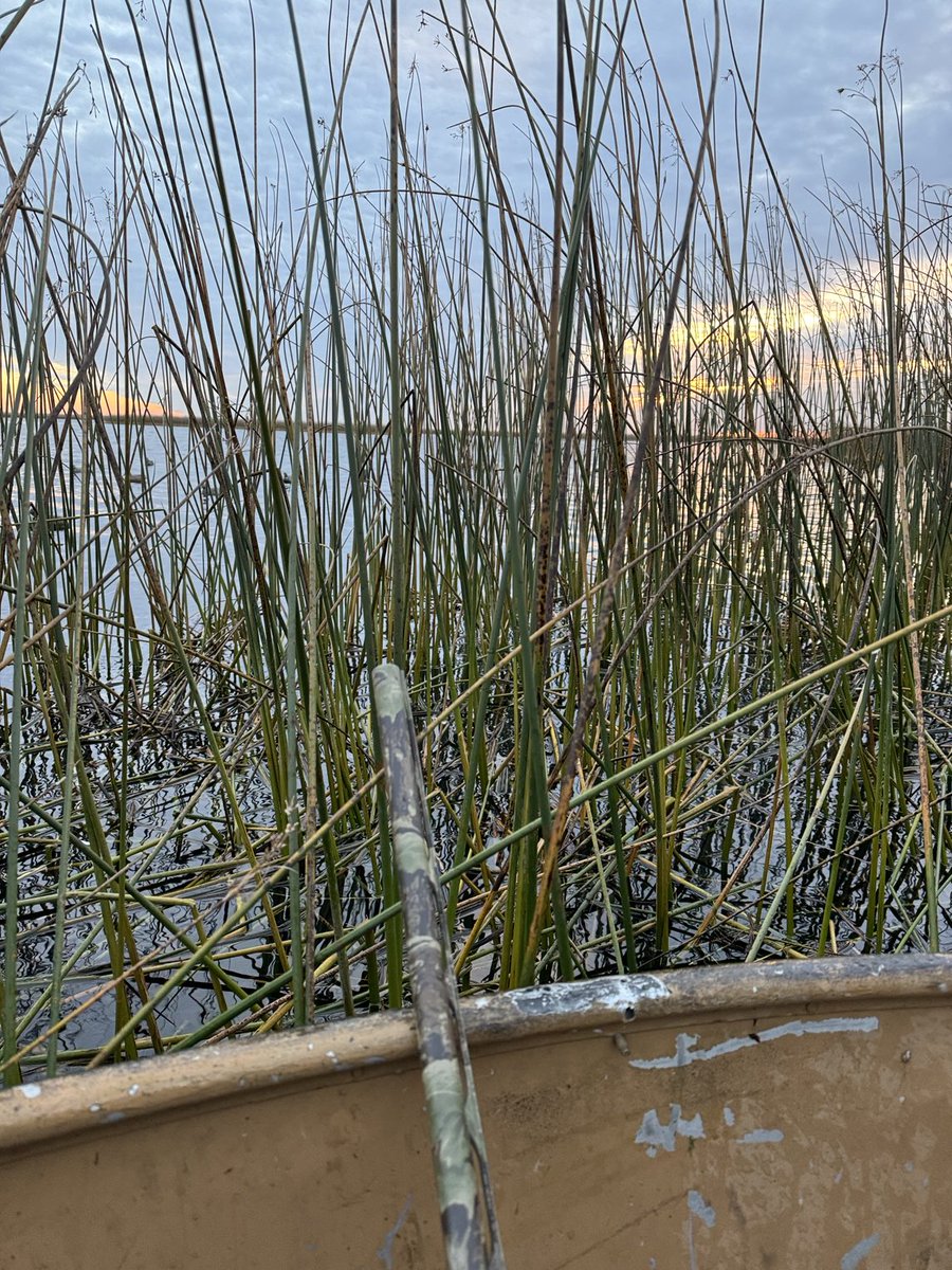 Ed (@mooneythepooney) on Twitter photo 