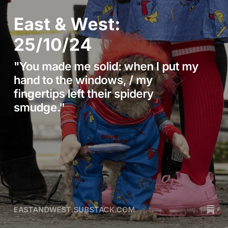 Our latest arts &amp; culture newsletter features a chat with poet and now-editor Joanna Cho, and two Hallowe'en dogs: open.substack.com/pub/eastandwes…