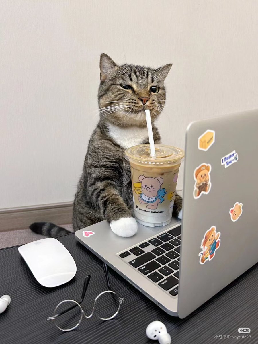 nocontextscats's tweet photo. 💻 https://t.co/1mRnhxywPe