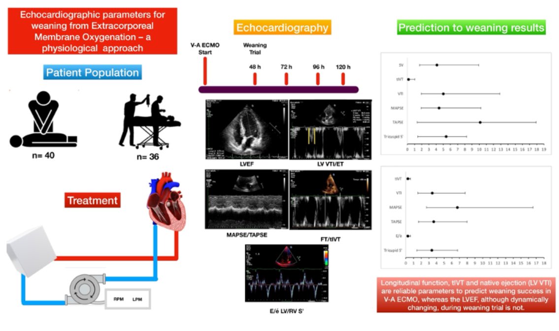 Just published #EHJCVI #Echofirst parameters for #ECMO weaning by Dr Tavazzi @susannaprice and colleagues ➡️ academic.oup.com/ehjcimaging/ad… <a href="/ESC_Journals/">European Society of Cardiology Journals</a> <a href="/bernhard_gerber/">Bernhard Gerber</a> <a href="/JGrapsa/">Julia Grapsa MD, PhD</a> <a href="/EACVIPresident/">EACVI President</a> <a href="/echo_stepbystep/">Vladyslav Kavalerchyk 🇺🇦</a> <a href="/VDelgadoGarcia/">Victoria Delgado</a> <a href="/purviparwani/">Dr. Purvi Parwani</a> <a href="/EZancanaroMD/">Edoardo Zancanaro MD</a> @hamos1977 <a href="/senguptasp/">Shantanu Sengupta</a>
