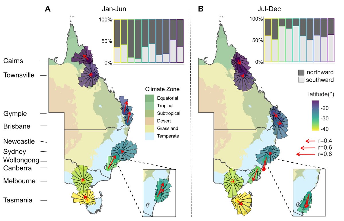 Xu Shi (@sxluscinia) on Twitter photo News from down under! Our latest study in <a href="/CurrentBiology/">Current Biology</a> uses weather radar to uncover Australia’s unique bird migration patterns—smaller in scale but high variable in timing, direction, and magnitude. Link: cell.com/current-biolog…. #ornithology #BirdMigration #Australia News from down under! Our latest study in <a href="/CurrentBiology/">Current Biology</a> uses weather radar to uncover Australia’s unique bird migration patterns—smaller in scale but high variable in timing, direction, and magnitude. Link: cell.com/current-biolog…. #ornithology #BirdMigration #Australia