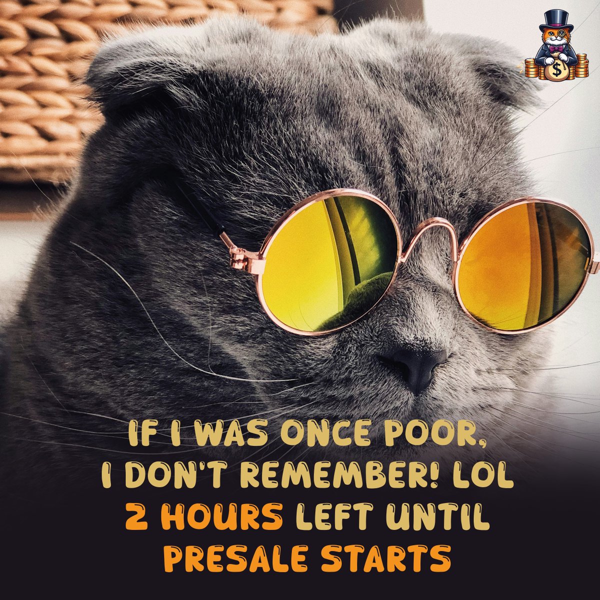 If I was once poor, I don't remember! lol. Less than 2 hours left until the presale starts. #meme #CatBillionaire #defi #BNB #BTC #Pinksale