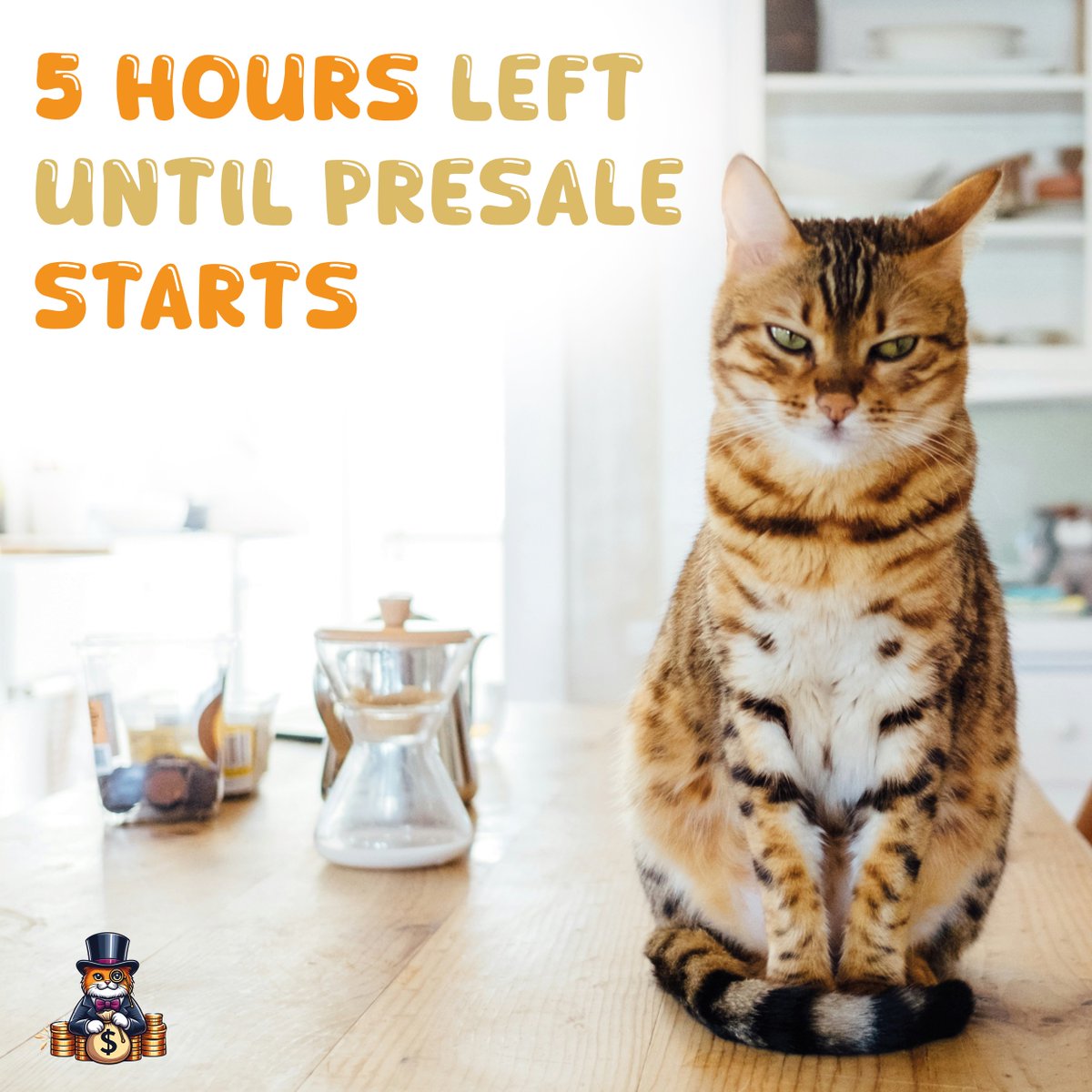 Hurry, there are less than 5 hours left until the presale starts!!! The cat will be sad if you don't participate. #meme #CatBillionaire #defi #BNB #BTC #Pinksale