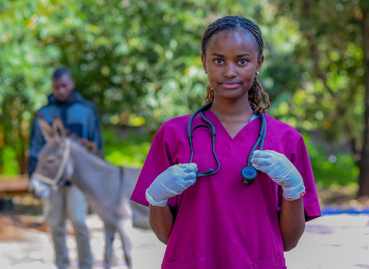 TheBrookeEA's tweet photo. Meet Dr. Corazon Nyambura, our dedicated vet intern for the past year! We spoke with her about her passion for animal welfare, particularly for working equids—horses, donkeys, and mules.

Discover more about her journey &amp; insights here: 

🔗https://t.co/r7NWmO26jx

#AnimalWelfare https://t.co/5pnnWN7uE6