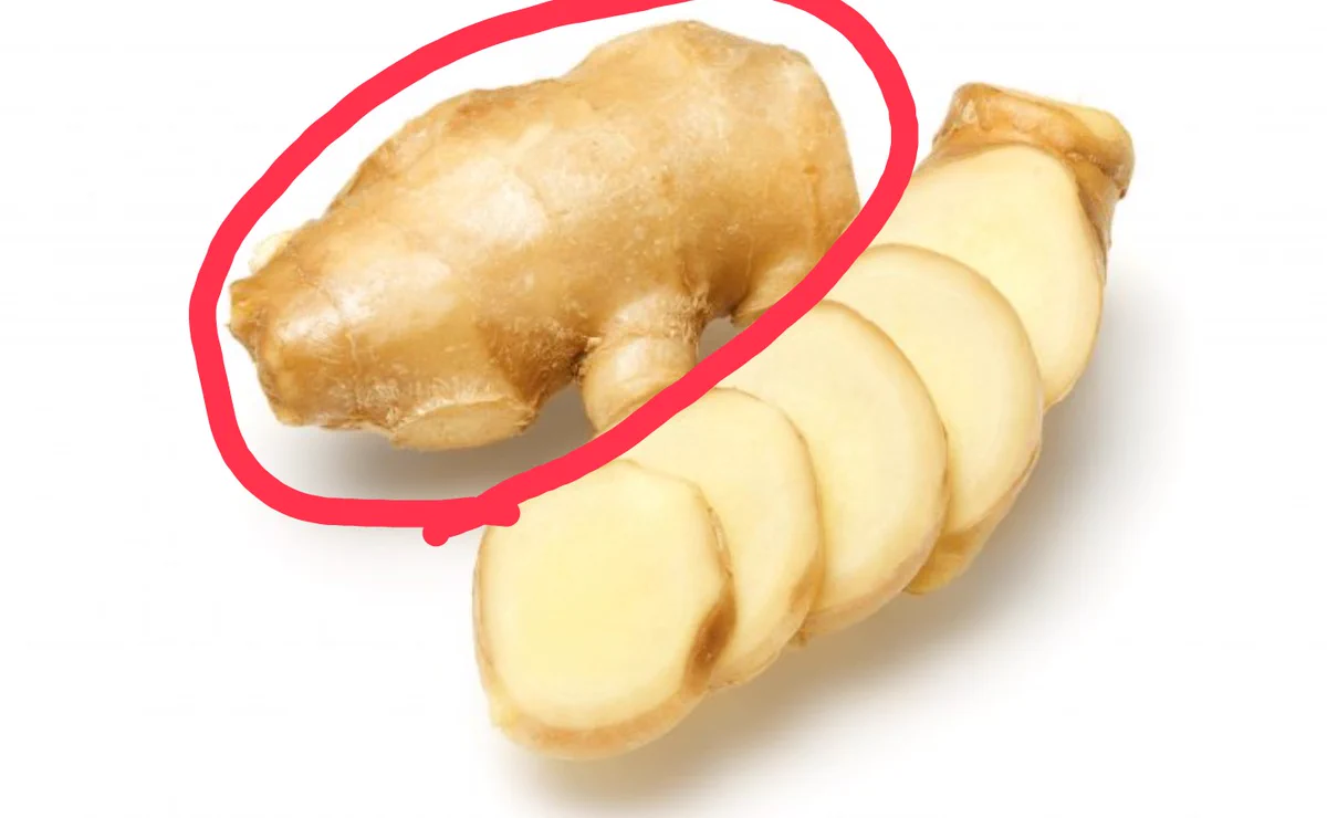 生姜 1 片 と は