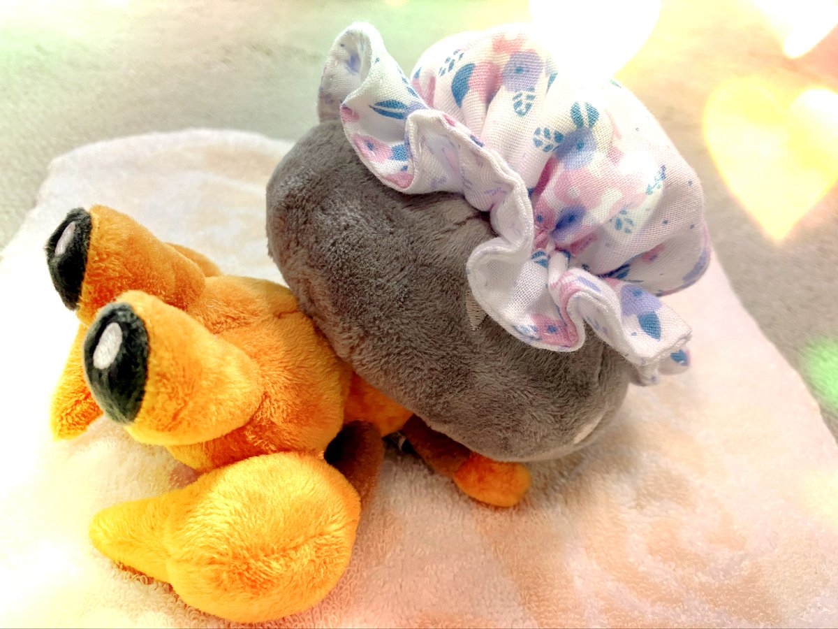 arahog's tweet image. お召し物作った✨
#ポケモンfit