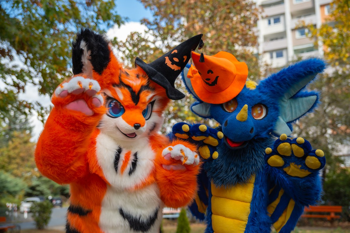 Ailurus, Ryūki & Júzǐ tweet media