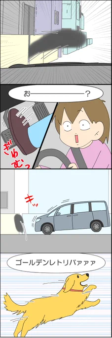 ワンコに振り回される飼い主が面白すぎた 2/2 