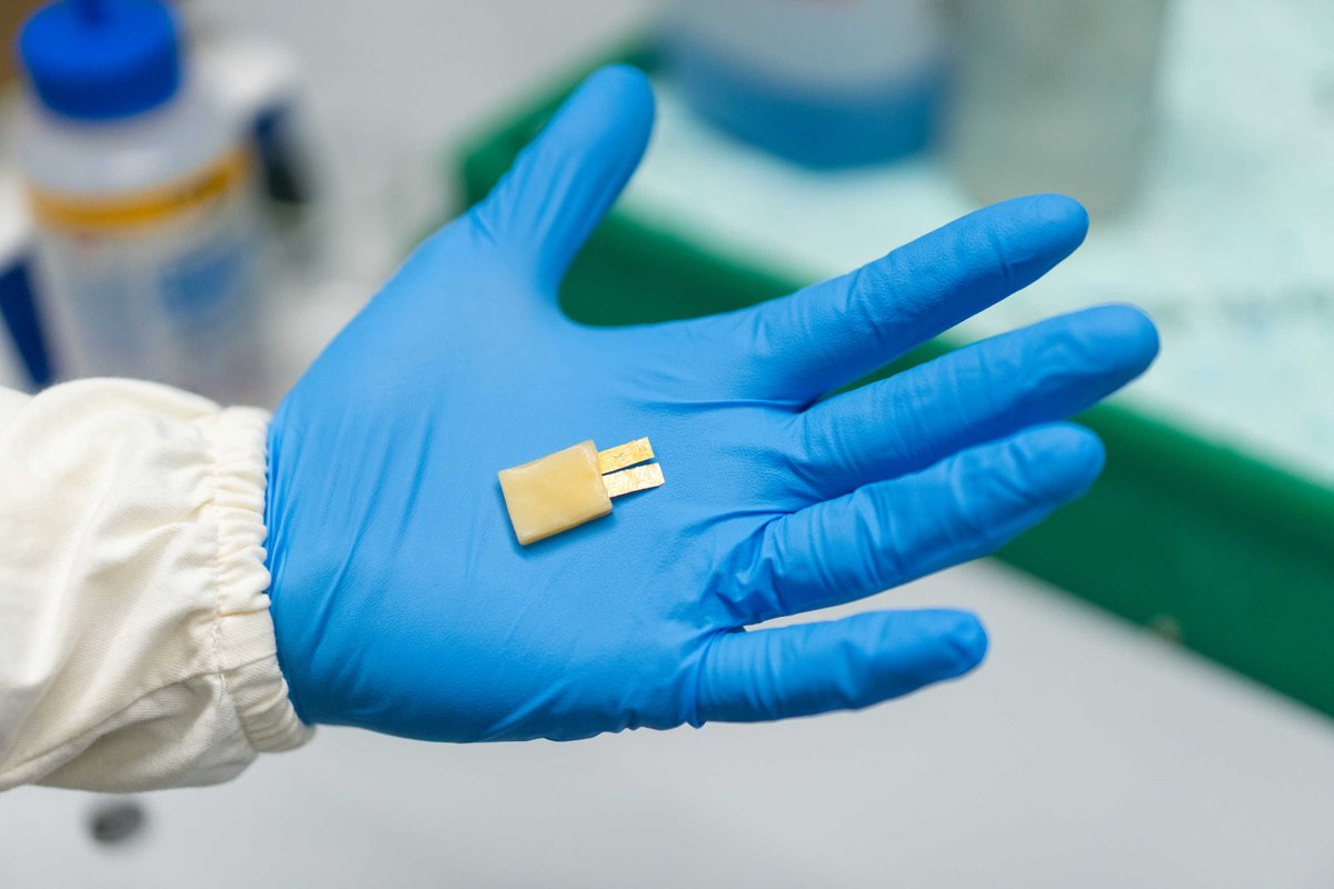 PhD call open! We offer a scholarship at "Politecnico di Milano" for Edible Electronic Devices and Sensors - call id: 4693-4079

dottorato.polimi.it/en/futuri-dott…

deadline: November the 25th - starting date: December the 13th

<a href="/IITalk/">IIT</a> <a href="/ERC_Research/">European Research Council (ERC)</a> <a href="/ElfoPME/">ELFO - Electronic Food</a>