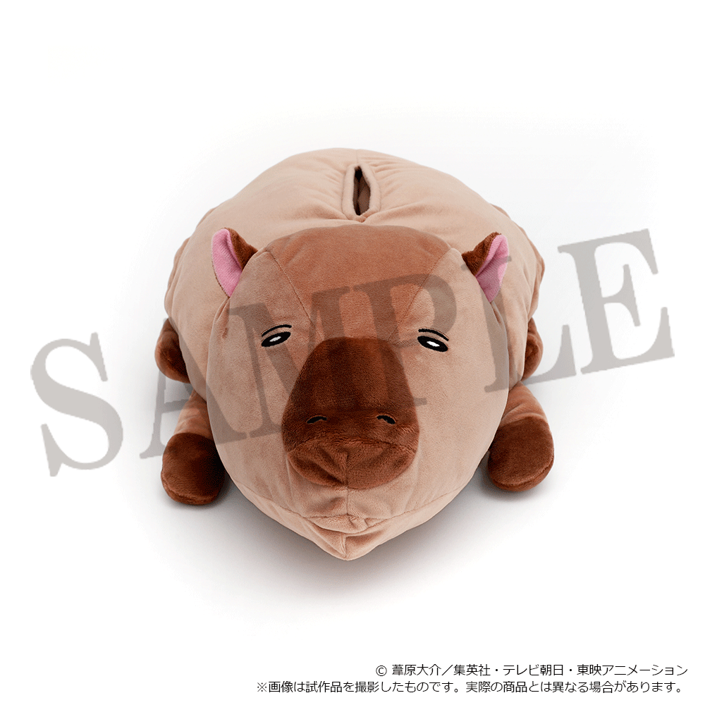 池袋PACKS・梅田PACKS tweet media