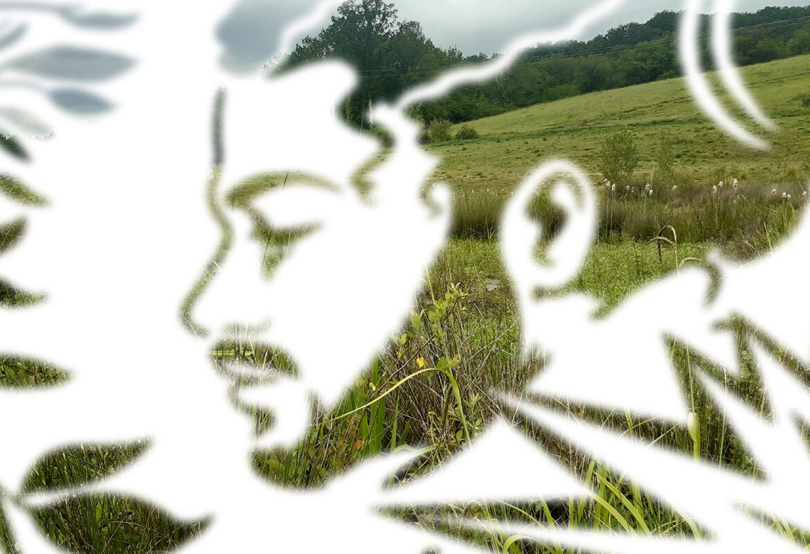 1⃣0⃣e anniversaire de la mort de Rémi Fraisse...
1⃣0⃣ ans après rien n’a changé : la #biodiversité et les milieux naturels sont toujours massacrés, les violences policières décuplées !
fne-op.fr/2024/10/24/siv…