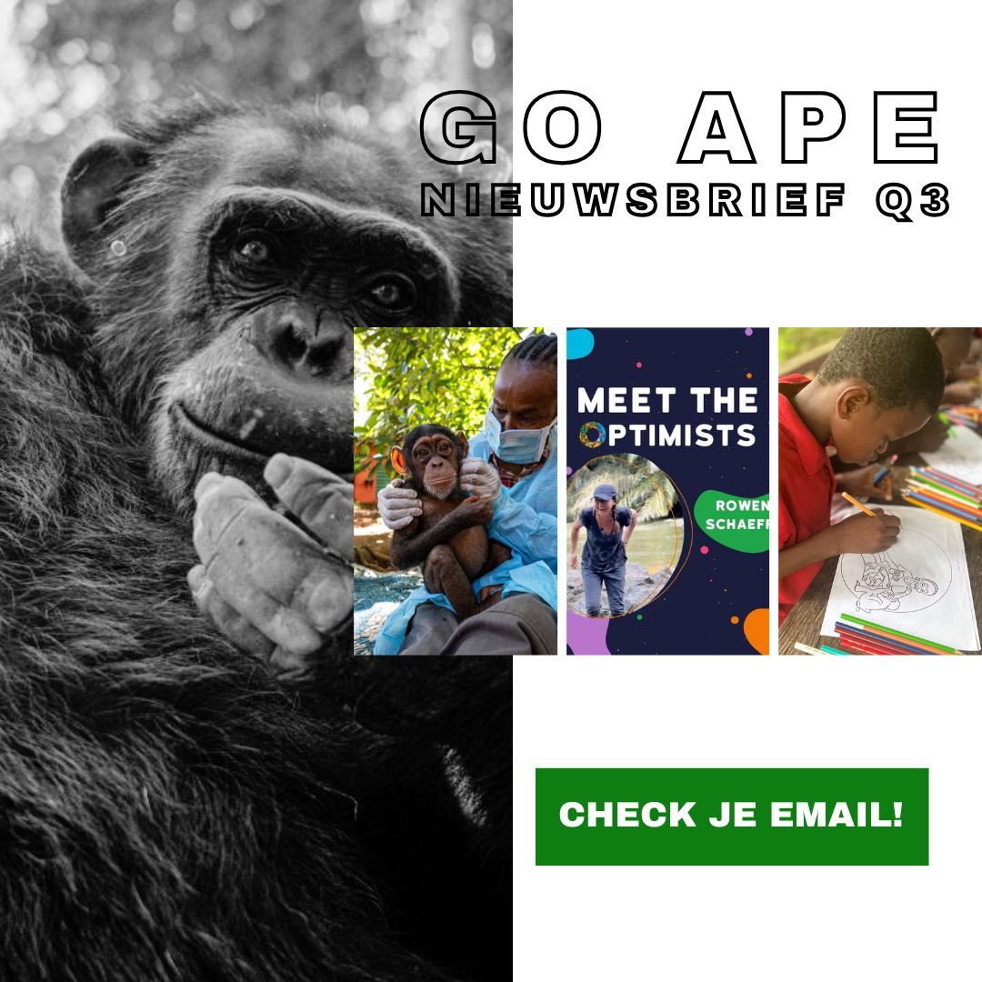 De nieuwste editie van onze Go Ape nieuwsbrief is deze week verzonden! 🌿

Met verhalen over natuureducatie in vergeten gebieden, de impact van jouw tientje, en de lange reis van een geredde chimpansee 🐵

Heb je ‘m al ontvangen? Check je mail en mis niets! ✉️✨