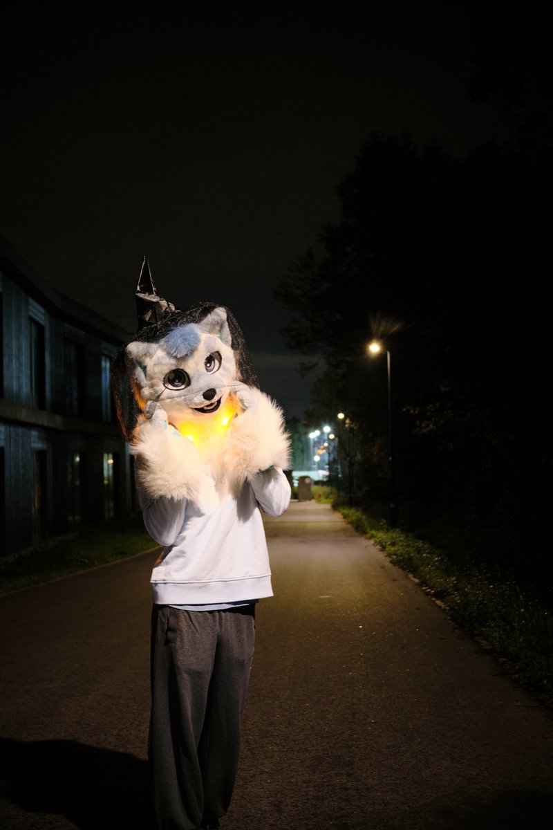 gibafur's tweet image. 6 days till Halloween 🎃 👻

Look at all these #FursuitFriday cuties on the TL!
I'd almost forget it's spooky time 👻

📷 @Refoofle