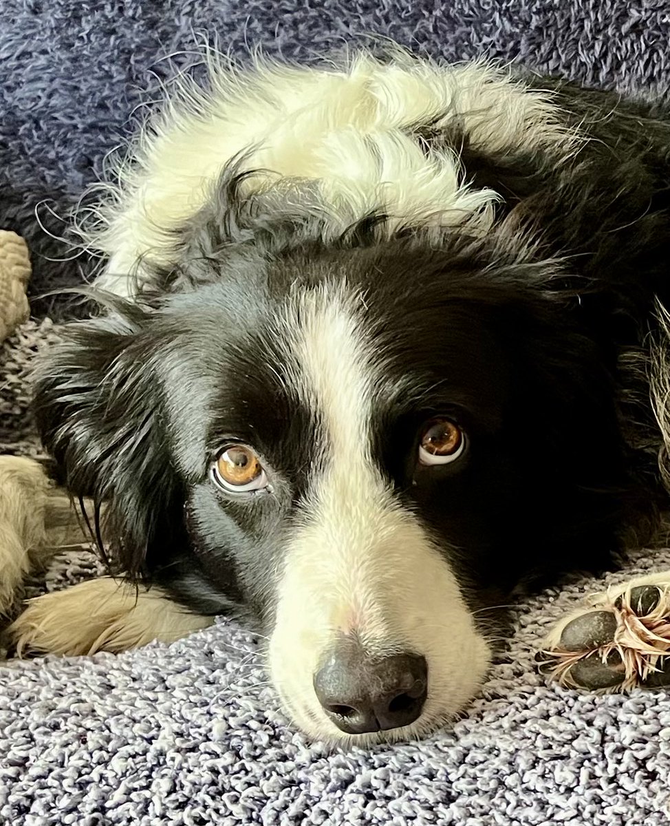 Morning X peeps - have a happy Friday 😀