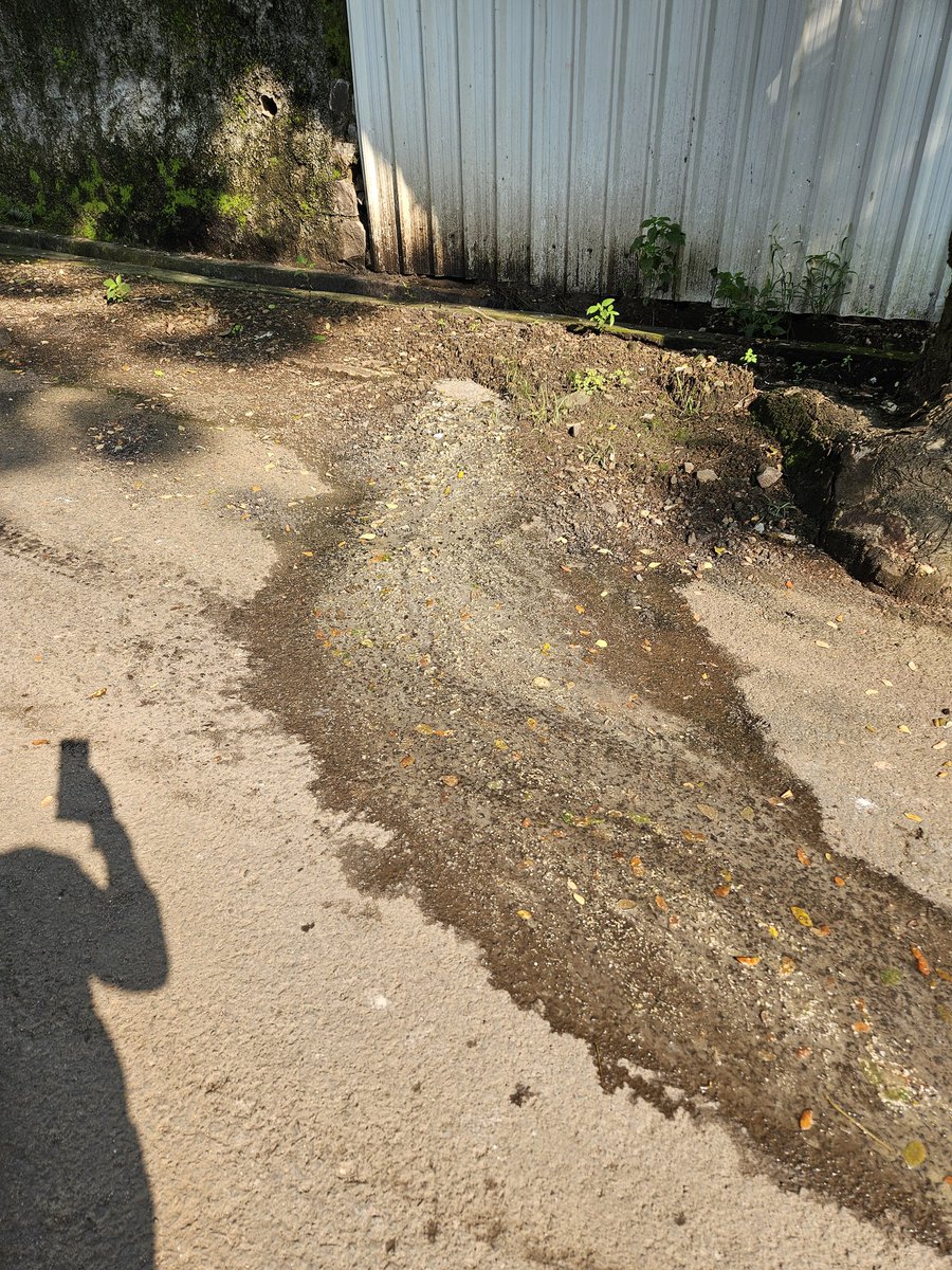 dhairyashil tweet media