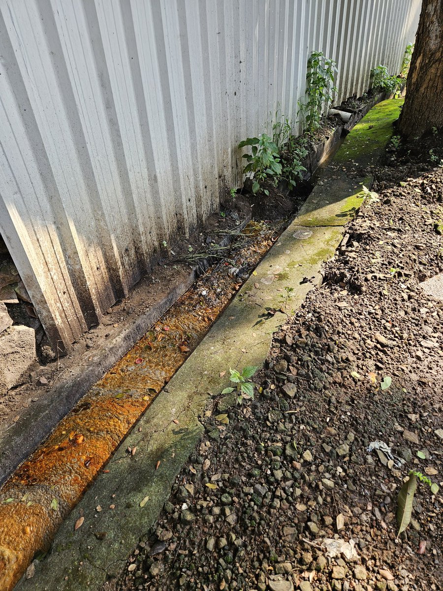 dhairyashil tweet media