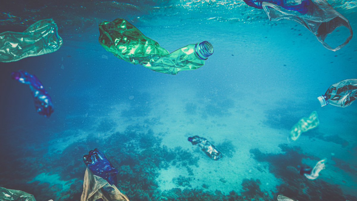 Por que os tapóns van unidos ás botellas? Desmontando mitos.
spain.representation.ec.europa.eu/noticias-event…