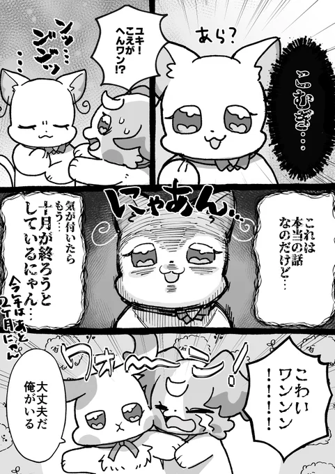 わんぷりは残り1クールにゃん…… 