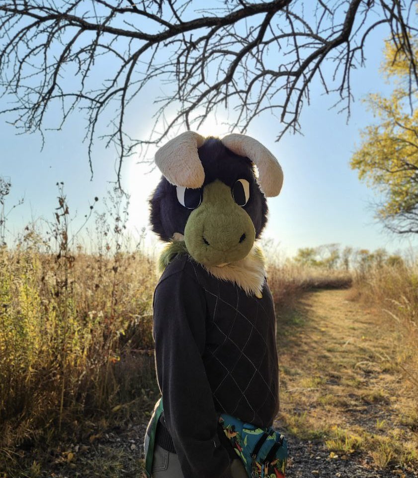 🪲Beetle🦴 @ MFF tweet media