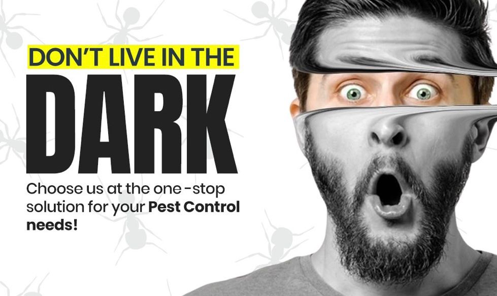 pestexperts_zw's tweet image. Don’t let bed bugs ruin your peace! 🛏️🚫 Pest Experts And Fumigators offers safe and effective solutions to eliminate bed bugs from your home. 

Sleep soundly again—contact us today! 
📞(263) 777 129 224

#BedBugControl #PestFreeLiving #PestExperts #Harare