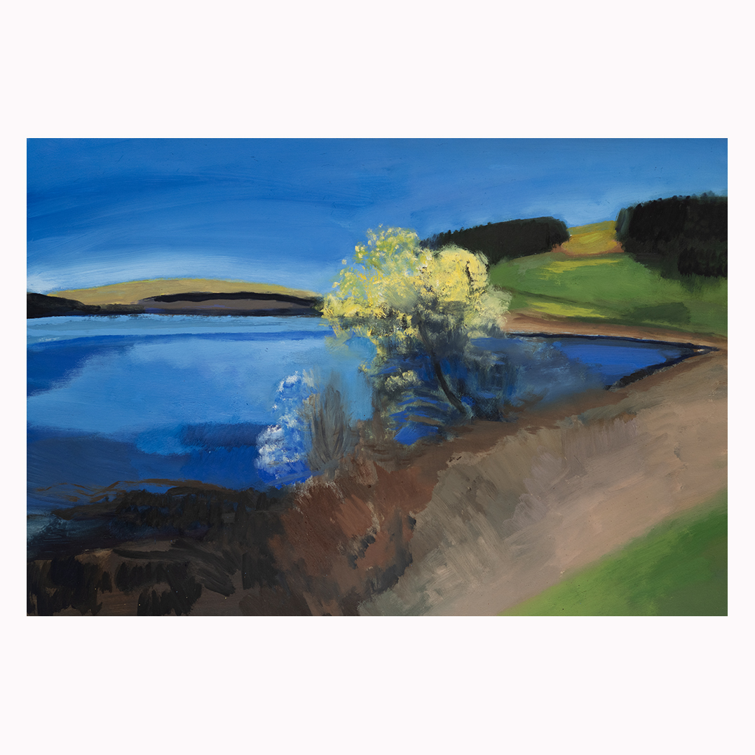 SALE! Will be selling off work over the next few weeks, so keep your eyes open for a bargain! There's no point them sitting in storage, I'd rather they were on people's walls!
Reservoir near Merthyr 

oil on paper, £100 A2ish size 

#paintings #canvas #oilonpaper #oiloncanvas