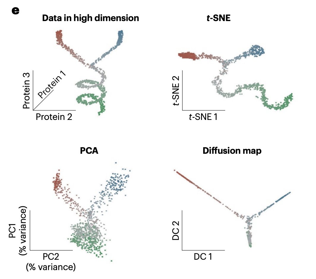 Dimensionality reduction can "see" structures that do not exist &amp; miss structures that exist.

Use it sparingly and evaluate conclusions in the high dimensional data.

nature.com/articles/s4159…