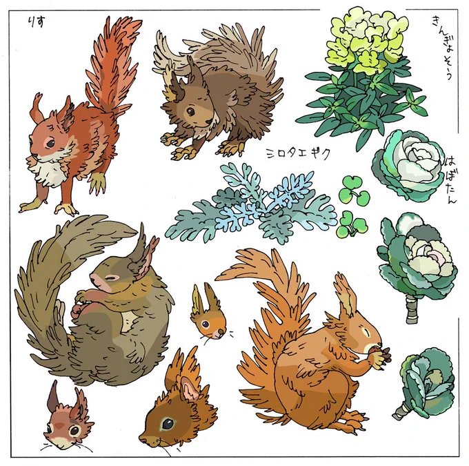 リスちゃん🐿️ 