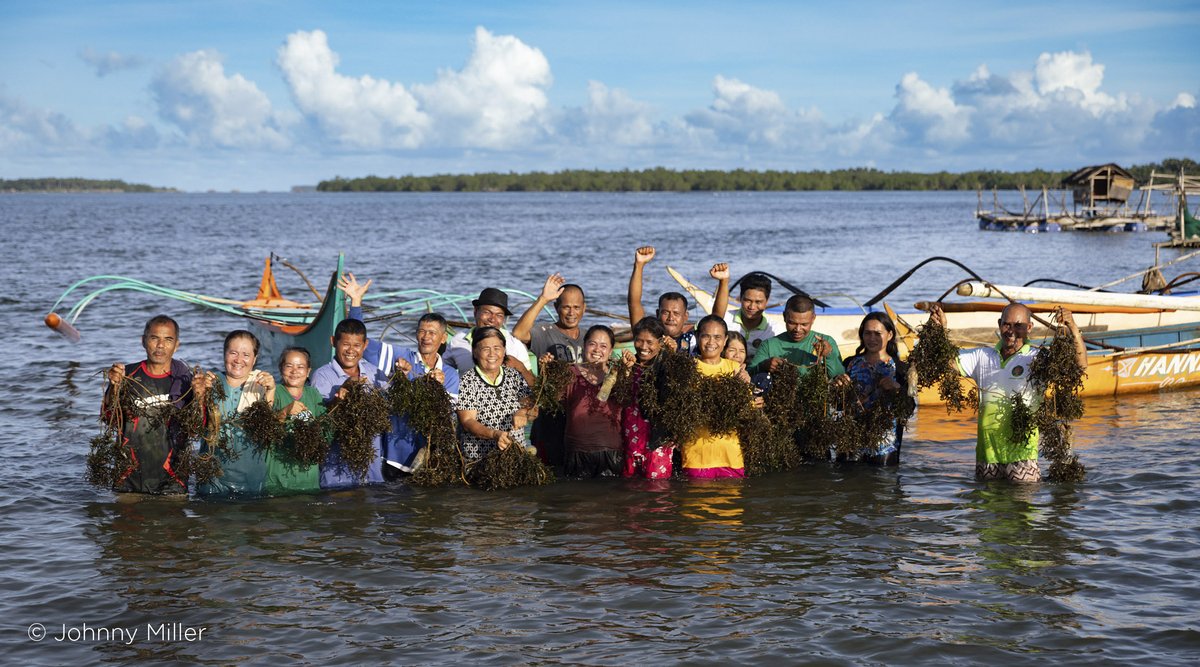 CODESPA (@codespa) on Twitter photo 🌊 Pequeños productores de algas en #filipinas ahora son parte de la cooperativa HISPA-CO 🌿 ¡Con el apoyo de #CODESPA y <a href="/OpenValueFound/">Open Value Foundation</a> aumentan sus ingresos y su acceso al mercado! 💪 codespa.org/blog/2024/10/2… 🌊 Pequeños productores de algas en #filipinas ahora son parte de la cooperativa HISPA-CO 🌿 ¡Con el apoyo de #CODESPA y <a href="/OpenValueFound/">Open Value Foundation</a> aumentan sus ingresos y su acceso al mercado! 💪 codespa.org/blog/2024/10/2…