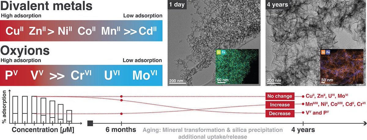 🚨Paper alert🚨Finally published my paper titled,”Long-term interaction of metals and phosphate with ferrihydrite in artificial seawater and implications for past and present environments.”  Link here: sciencedirect.com/science/articl…. (1/3)