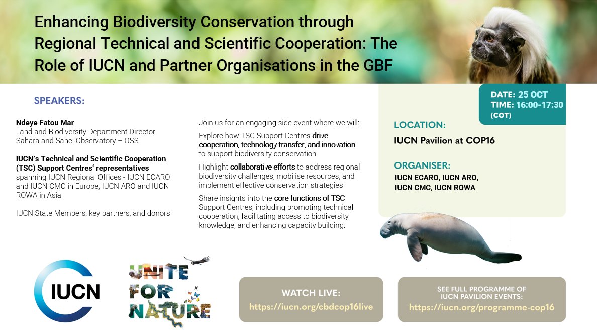 How are the CBD Support Centres fostering collaboration, driving technology transfer, and sparking innovation to advance #biodiversity conservation across regions?🌿

Join us at #COP16Colombia and online for a dedicated side event: Enhancing Biodiversity Conservation through