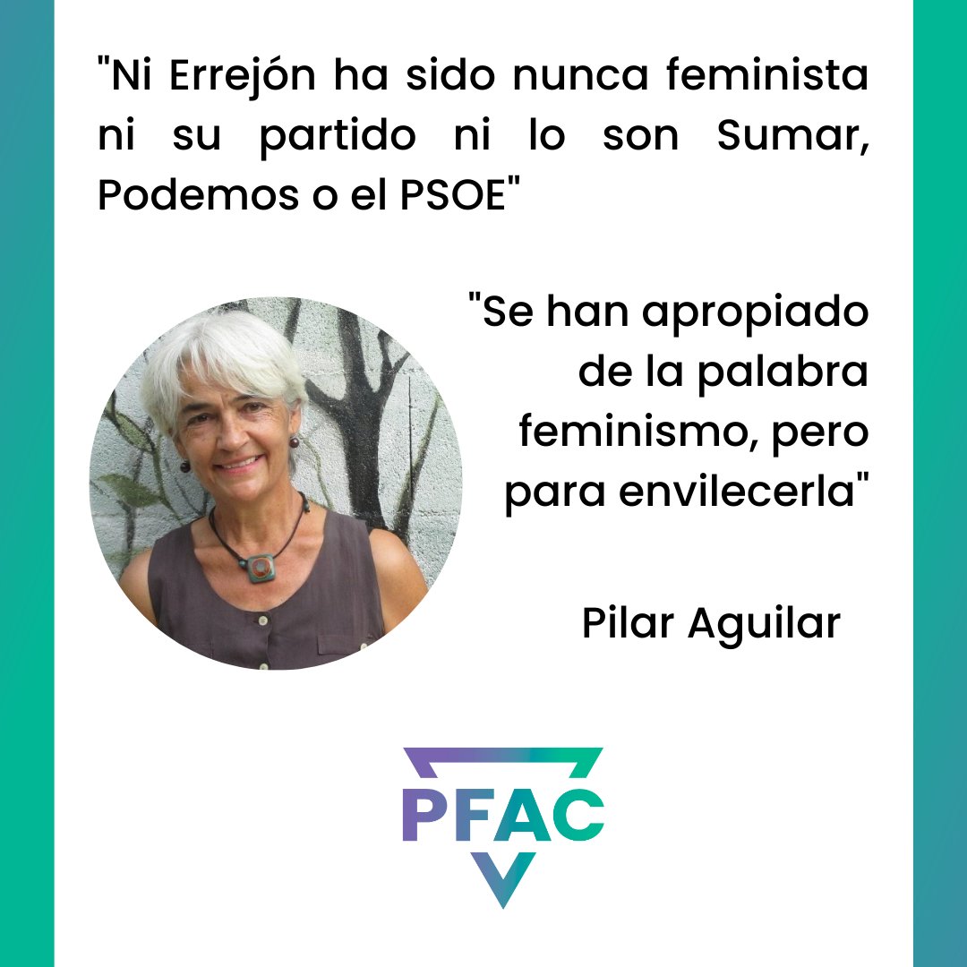Partido Feministas Al Congreso tweet media