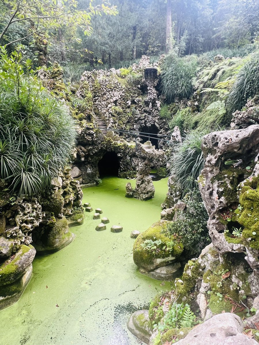 Captain Trippy tweet media