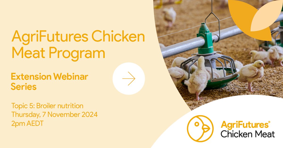 AgriFuturesAU's tweet image. 🌾 Join the AgriFutures #ChickenMeat webinar on 7 Nov, 2-3pm AEDT! Experts Reza Barekatain &amp;amp; Sonia Liu will discuss the fundamental aspects of poultry nutrition🌱  Register now 👉 bit.ly/4eTsVju #PoultryNutrition #SustainableFarming #AgriFutures